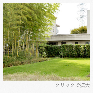 中庭には趣のある竹林があります