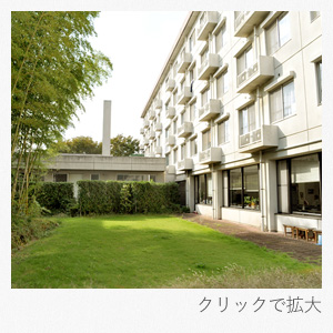広い中庭があります